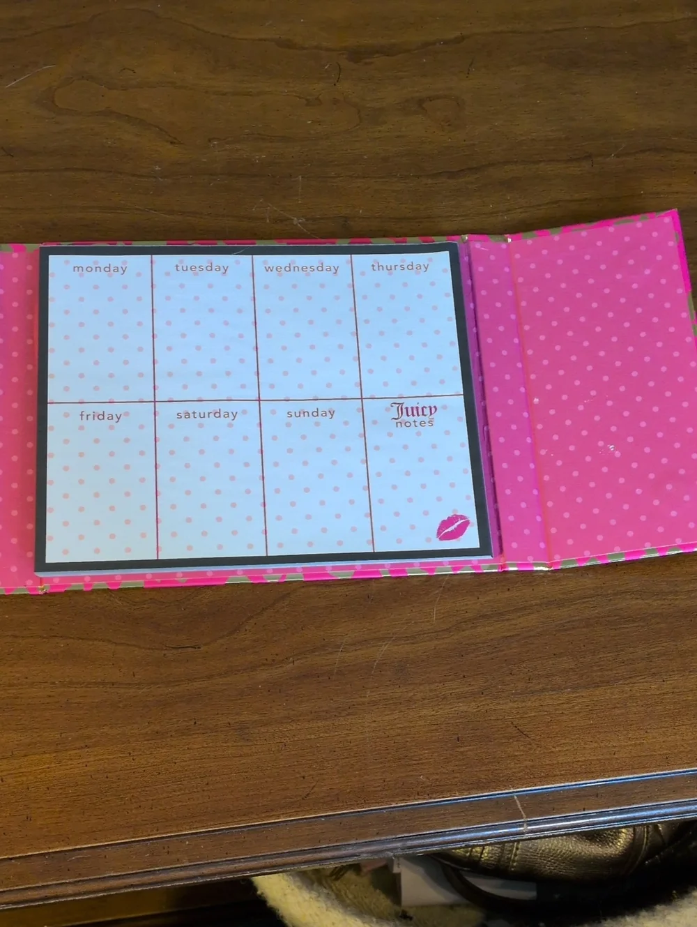 Juicy Couture Planner Organizer Small Notes Glitter Is My Favorite Color Trifold